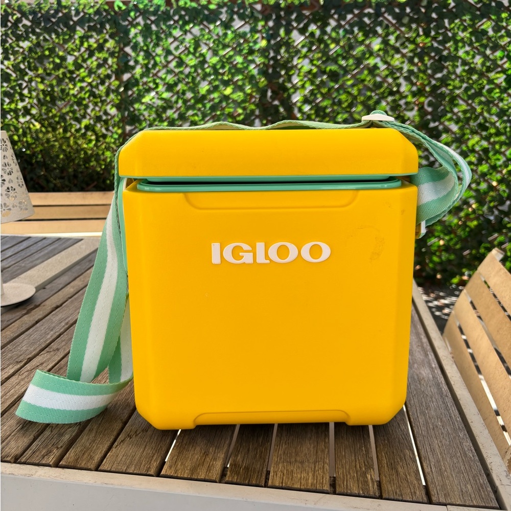Igloo 11 Qt Tag Along Picnic Style Cooler